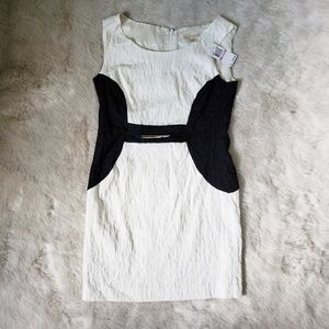 NWT Michael Kors dress size 6